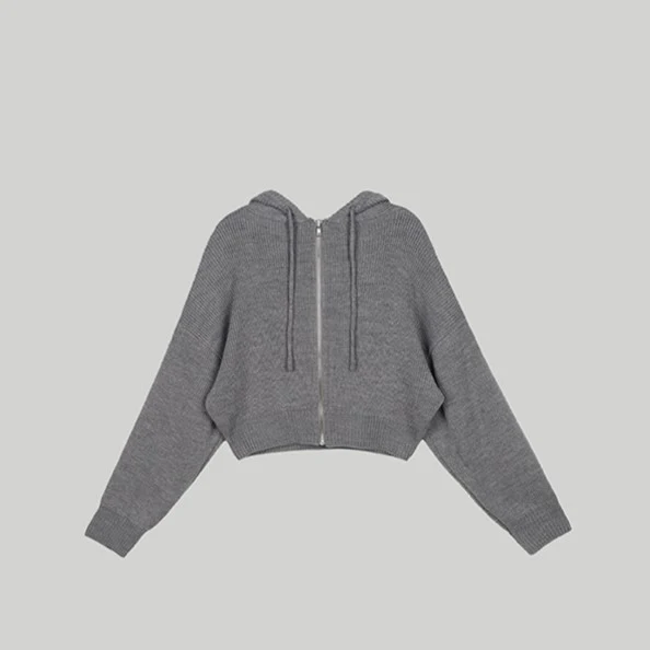 CLASSIC HOODIE ZIP-UP - Image 2